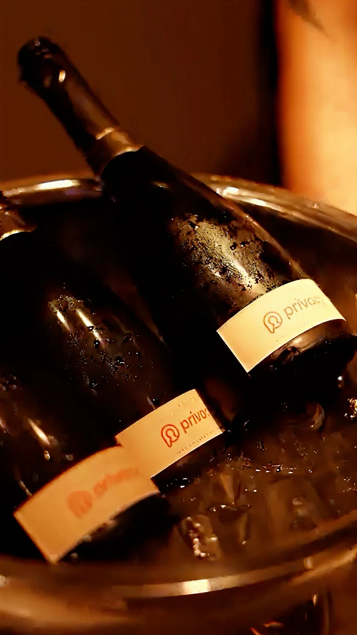 Ambiente criativo da Privacy para criadores de conteúdo